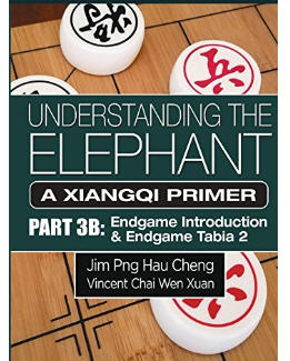 Understanding the elephant_endgame_part 3b by Jim Png Hau Cheng